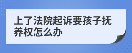 上了法院起诉要孩子抚养权怎么办