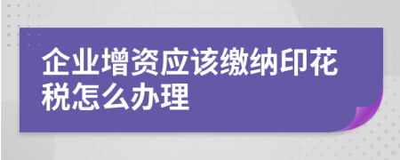 企业增资应该缴纳印花税怎么办理