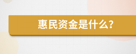 惠民资金是什么？