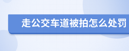 走公交车道被拍怎么处罚