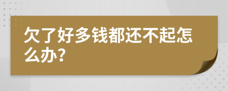 欠了好多钱都还不起怎么办？