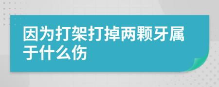 因为打架打掉两颗牙属于什么伤