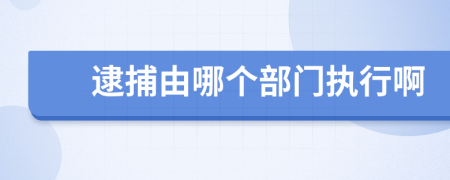 逮捕由哪个部门执行啊