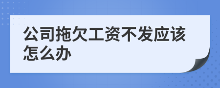 公司拖欠工资不发应该怎么办