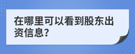 在哪里可以看到股东出资信息？