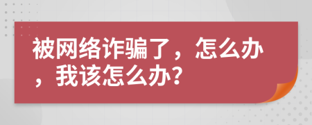 被网络诈骗了，怎么办，我该怎么办？