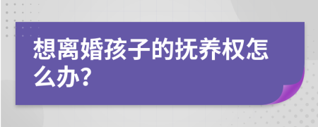 想离婚孩子的抚养权怎么办？