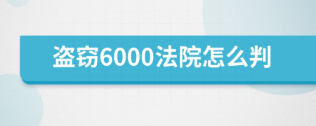 盗窃6000法院怎么判