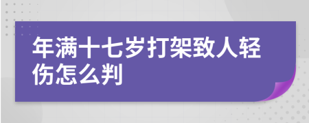 年满十七岁打架致人轻伤怎么判