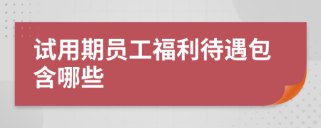 试用期员工福利待遇包含哪些