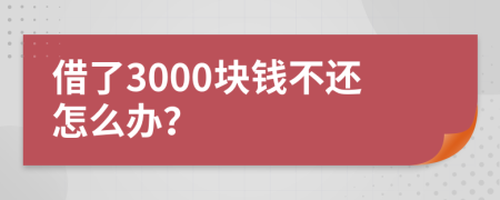 借了3000块钱不还怎么办？