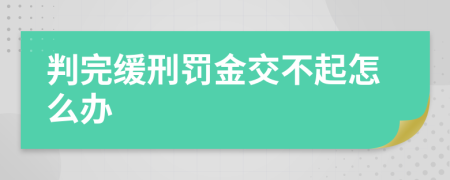 判完缓刑罚金交不起怎么办