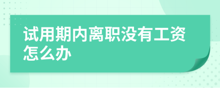 试用期内离职没有工资怎么办