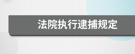 法院执行逮捕规定