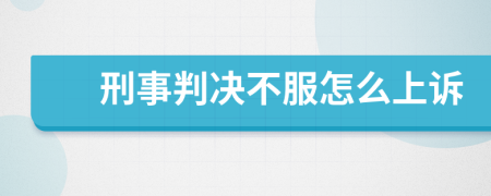 刑事判决不服怎么上诉