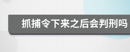 抓捕令下来之后会判刑吗