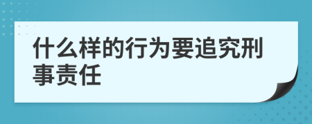 什么样的行为要追究刑事责任