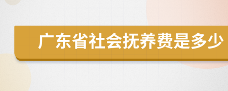 广东省社会抚养费是多少