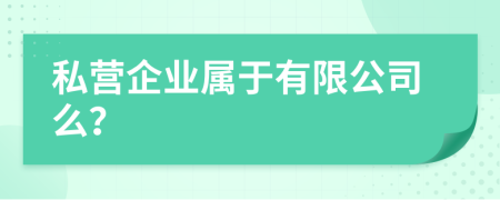 私营企业属于有限公司么？