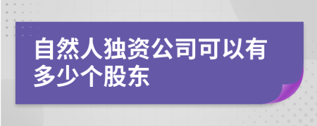 自然人独资公司可以有多少个股东