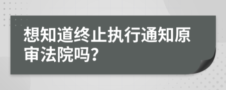 想知道终止执行通知原审法院吗？