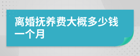 离婚抚养费大概多少钱一个月