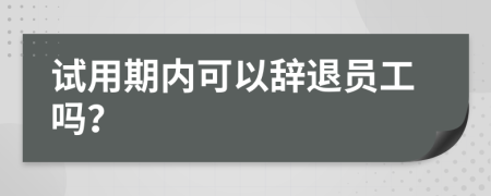 试用期内可以辞退员工吗？