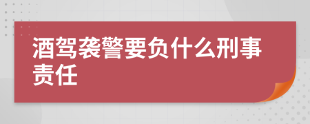 酒驾袭警要负什么刑事责任