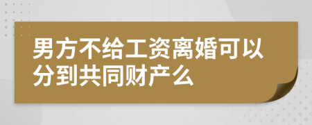 男方不给工资离婚可以分到共同财产么