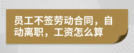 员工不签劳动合同，自动离职，工资怎么算