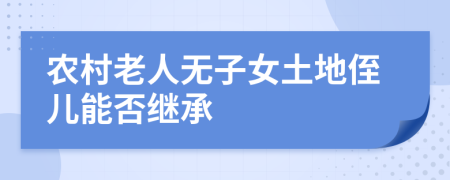 农村老人无子女土地侄儿能否继承