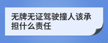 无牌无证驾驶撞人该承担什么责任