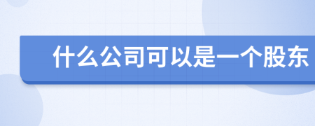 什么公司可以是一个股东