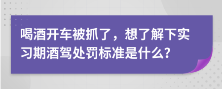 喝酒开车被抓了，想了解下实习期酒驾处罚标准是什么？