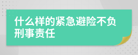 什么样的紧急避险不负刑事责任