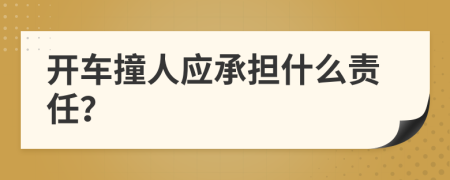 开车撞人应承担什么责任？