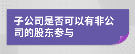 子公司是否可以有非公司的股东参与