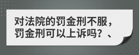 对法院的罚金刑不服，罚金刑可以上诉吗？、