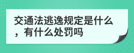 交通法逃逸规定是什么，有什么处罚吗