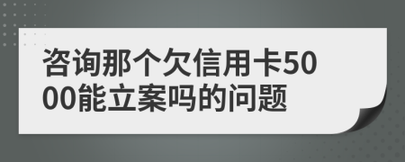 咨询那个欠信用卡5000能立案吗的问题