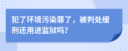 犯了环境污染罪了，被判处缓刑还用进监狱吗？