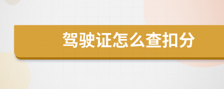 驾驶证怎么查扣分