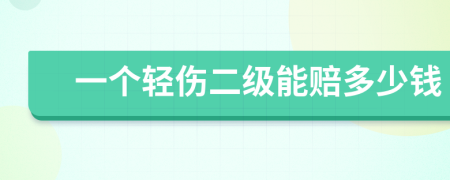 一个轻伤二级能赔多少钱