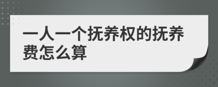 一人一个抚养权的抚养费怎么算