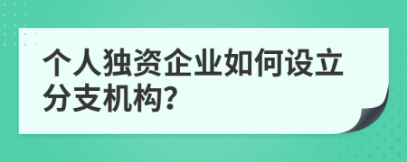 个人独资企业如何设立分支机构？