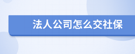 法人公司怎么交社保