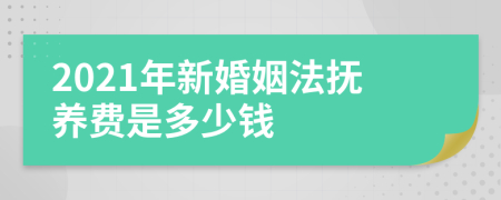 2021年新婚姻法抚养费是多少钱