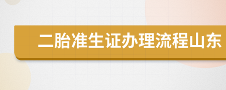 二胎准生证办理流程山东