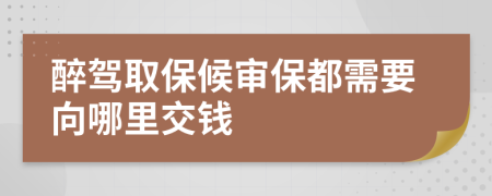 醉驾取保候审保都需要向哪里交钱