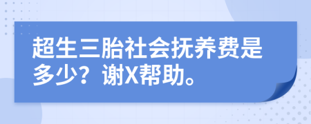 超生三胎社会抚养费是多少？谢X帮助。